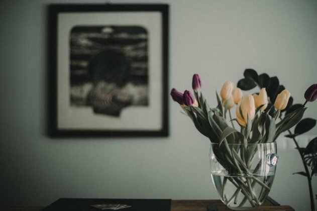 Tulipanowy Gosciniec - Photo3
