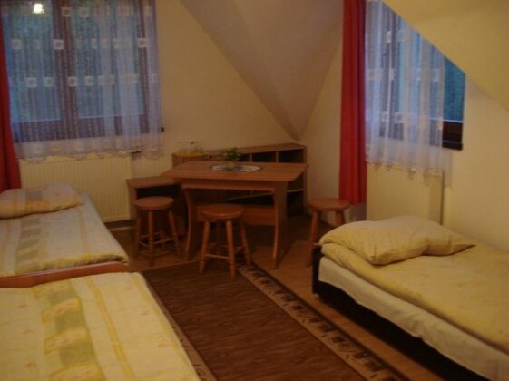 Czarne jagody - Photo4