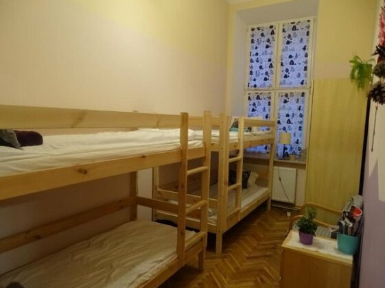 Cat Hostel Krakow - Photo3