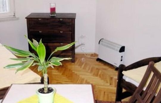 Dizzy Daisy Hostel - Photo2