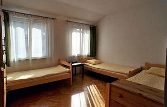 Dizzy Daisy Hostel - Photo3