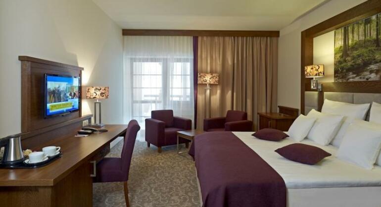 Hotel Mercure Krynica Zdroj Resort&Spa - Photo3