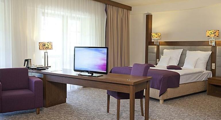 Hotel Mercure Krynica Zdroj Resort&Spa - Photo4