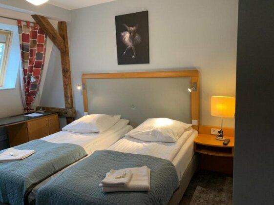Hotel Willa Starosty - Photo2
