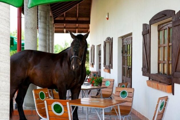 Balios - Photo4