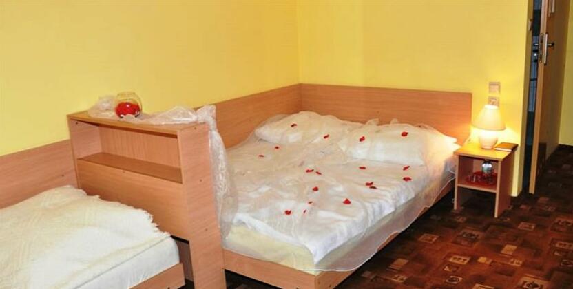 Seva - Photo5