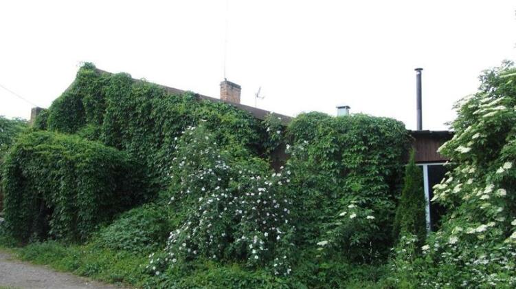 Agrogospodarstwo Waldi