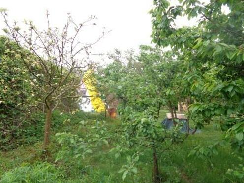 Agrogospodarstwo Waldi - Photo5