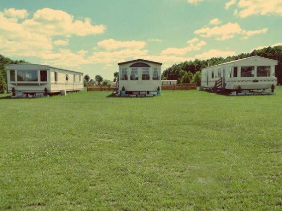 Lary Camping Farm - domki holenderskie - Photo3