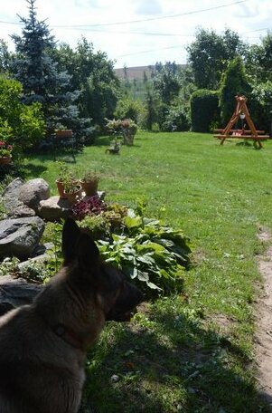 Agroturystyka 'Pod debem' - Photo3