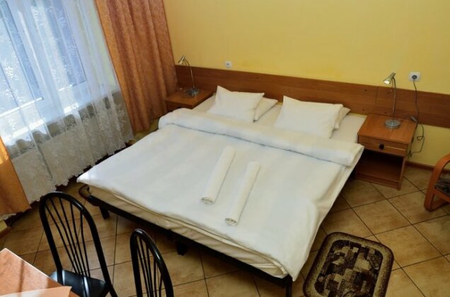 Hotel Gracja Raciborz - Photo5
