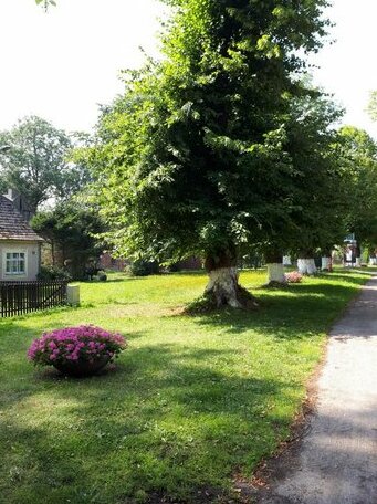 Domki Letniskowe w Sliwinie - Photo3