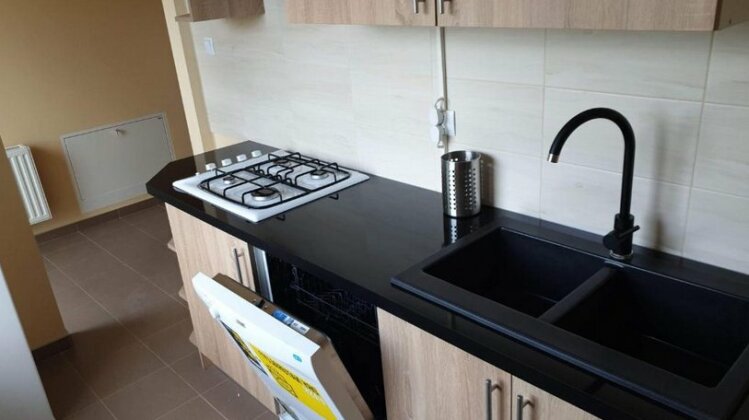 Narcyza Putza 24 - Photo3