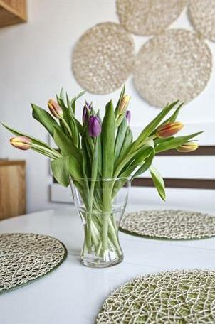 Sopockie Apartamenty - Mewa - Photo2