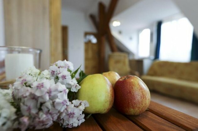 Aktywna Agroturystyka - Photo2