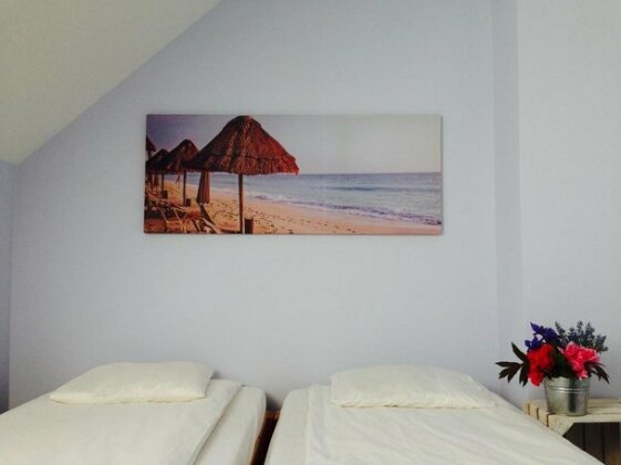 Lawendar - Photo5
