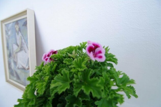 Capitol Studio Apartments - Photo3