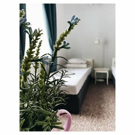 Pastel Guest Rooms - Photo3