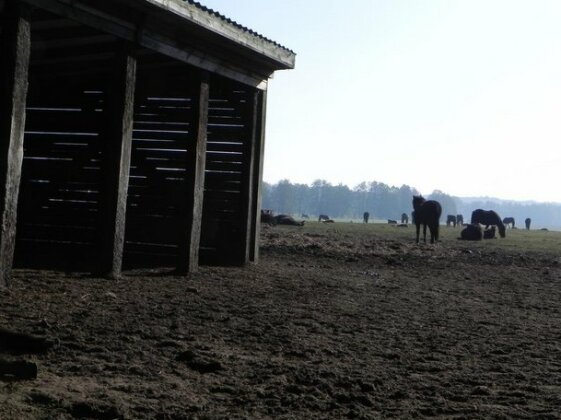 Gutshof Dragefeld - Photo2