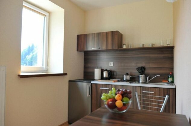 Apartamenty nad Wisla - Photo4