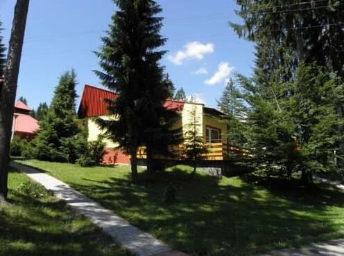 Mitur - Photo3
