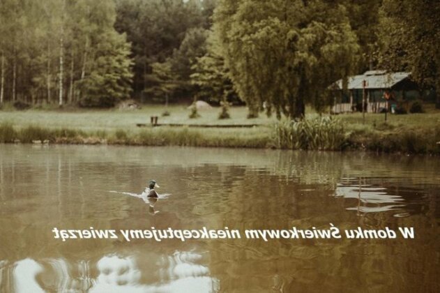 Rentynowka - Photo5
