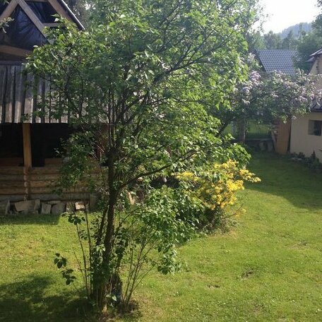 Hostel Tatry - Photo3