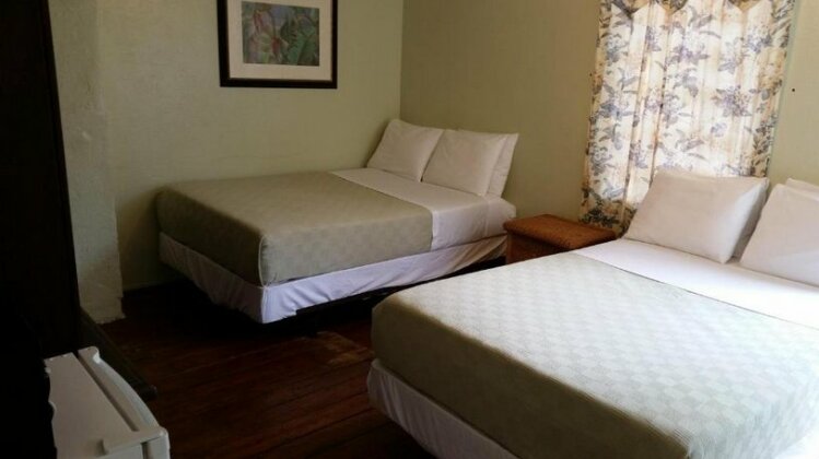 The Vieques Guesthouse - Photo4