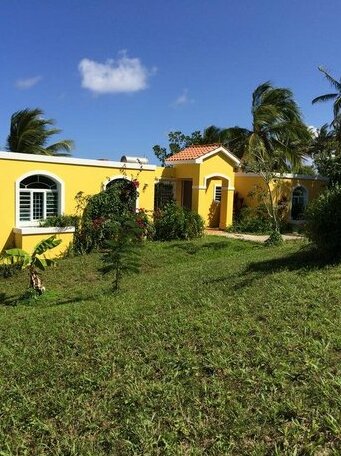 The Yellow House La Boca
