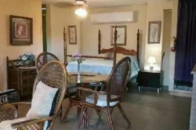 Studio Apartment in Paradise - Photo2