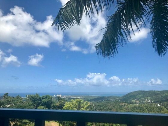 Million dollar view in Puerto Rico - Photo2
