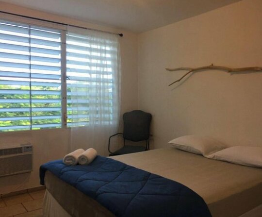 Tropical Guest House Vieques - Photo2