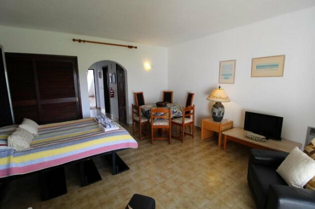 Camelia 89 - Sao Rafael - Photo5