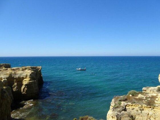 CIP V5 Passion - Photo2
