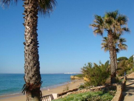 Fantastic Apartment near to beach and amenities - Photo3