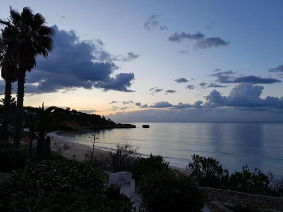 Fantastic Apartment near to beach and amenities - Photo4