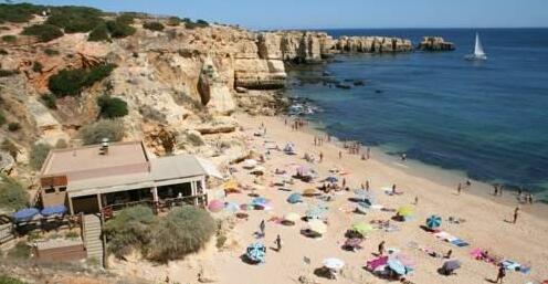 Pine Tree Apartments - Sesmarias - Photo2