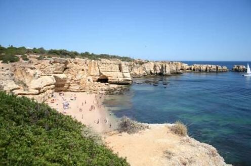 Pine Tree Apartments - Sesmarias - Photo3