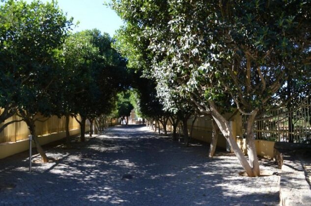 Quinta da Barracuda - Photo4