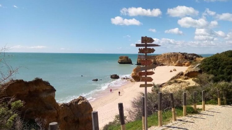 T2 Marina Albufeira Orada - Photo3