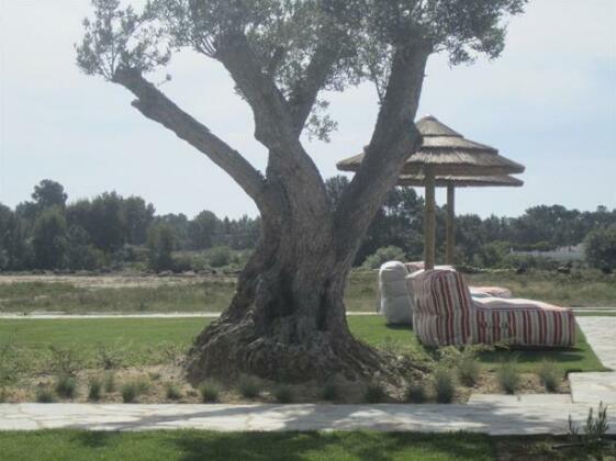 Monte do Cardal - Photo5