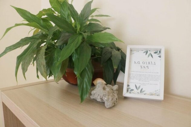 Green Element Guesthouse - Photo3