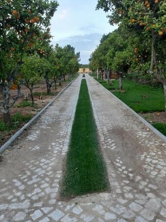 Quinta Vita-Uva - Photo4