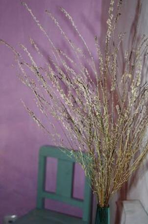 Monte Gois Country House e Spa - Photo4
