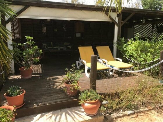 Nina and Paul's Place - Photo5