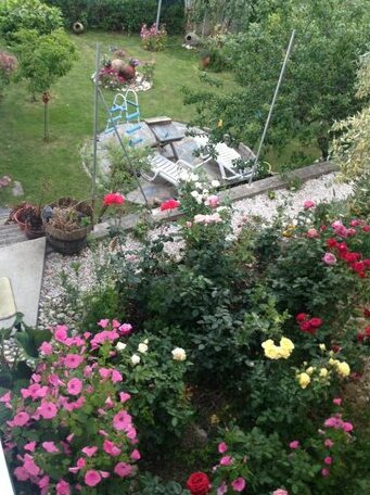 Casa Ferreira Gois - Photo5