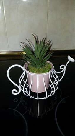 Casa Buganvilia - Photo2