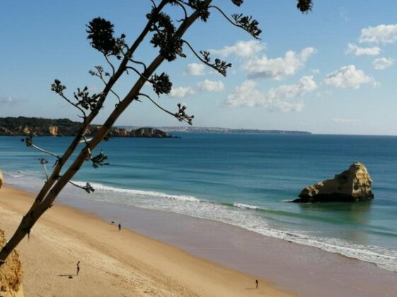 Casa do amizades - Photo2