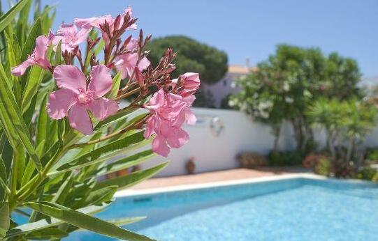 Apartamentos Turisticos Sollagos - Photo5