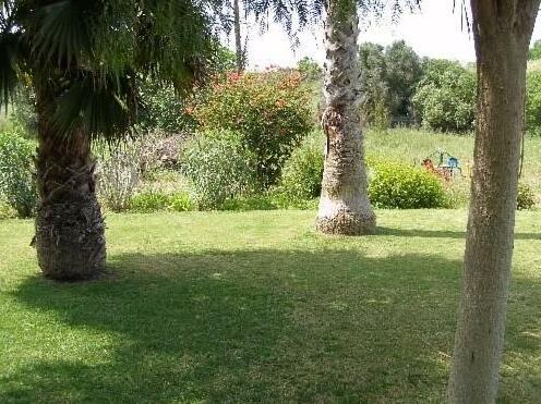 Falfeira Apartments - Photo5